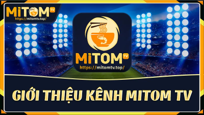 Website trực tiếp bóng đá đáng tin cậy nhất 2024 - Mitom TV